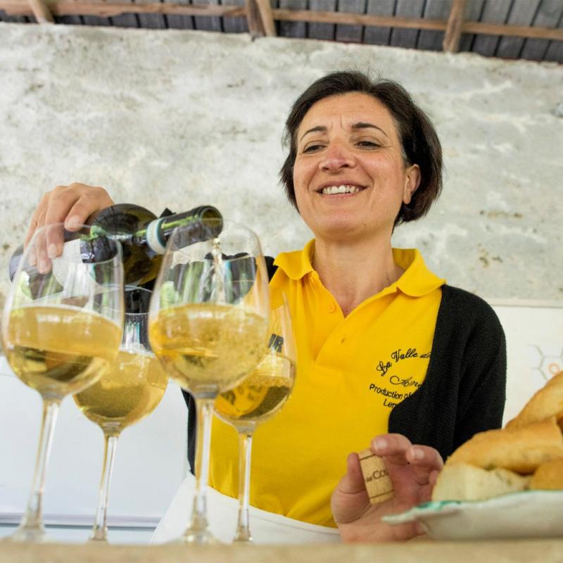Amalfi Coast Lemon & Wine Tasting - Shared Experience